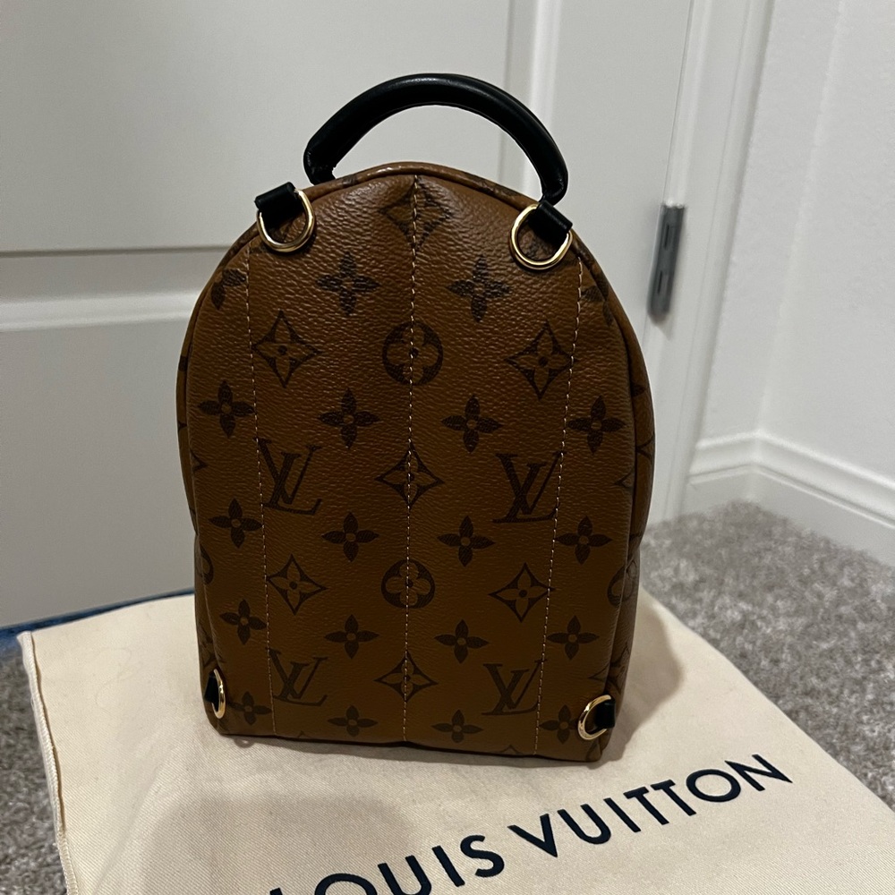 Louis Vuitton Palm Springs Mini Backpack - Picture 2 of 14